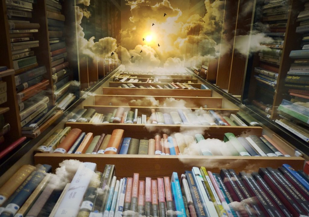 library, heaven, birds-425730.jpg